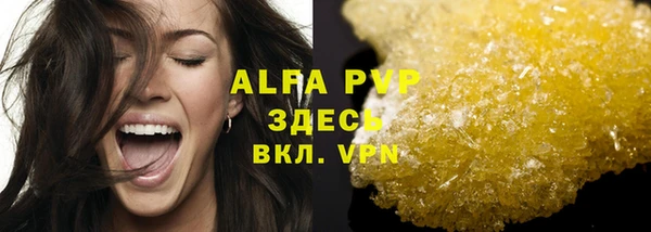 стаф Аркадак