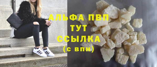 стаф Аркадак