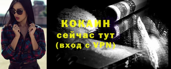 стаф Аркадак
