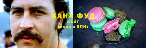 стаф Аркадак