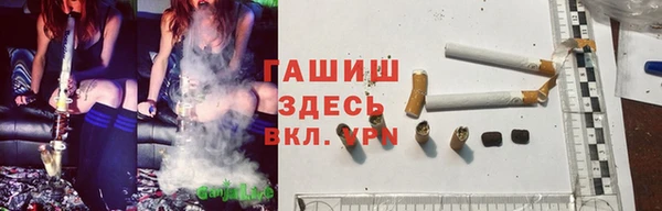 стаф Аркадак