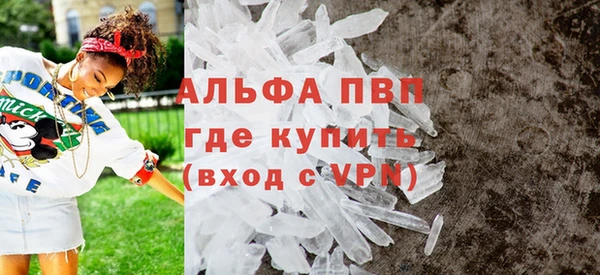 стаф Аркадак