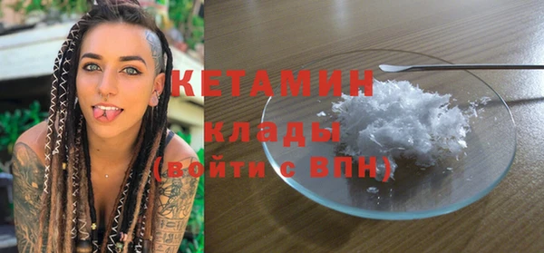 стаф Аркадак