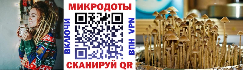 mega tor  Пушкино  Галлюциногенные грибы Cubensis  цены наркотик 