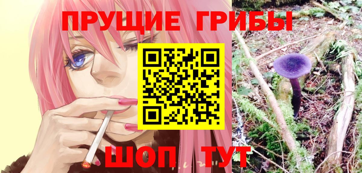 Псилоцибиновые грибы Magic Shrooms  Вход с VPN  купить наркоту  Пушкино 